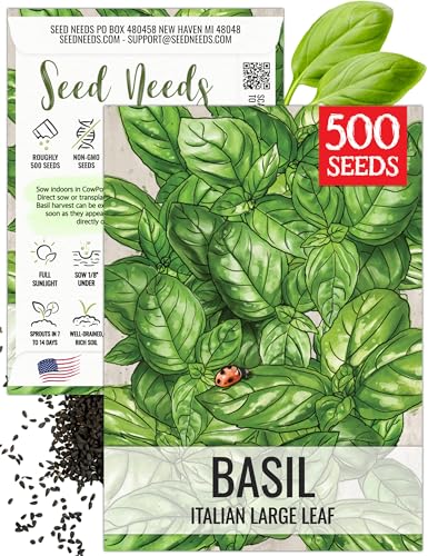Seed Needs Basil Seeds for Planting Italian Large Leaf Herbs - Non-GMO Heirloom & Untreated - Grow an Indoor or Outdoor Home Grown Herb Garden (1 Pack)