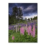 Trademark Fine Art...