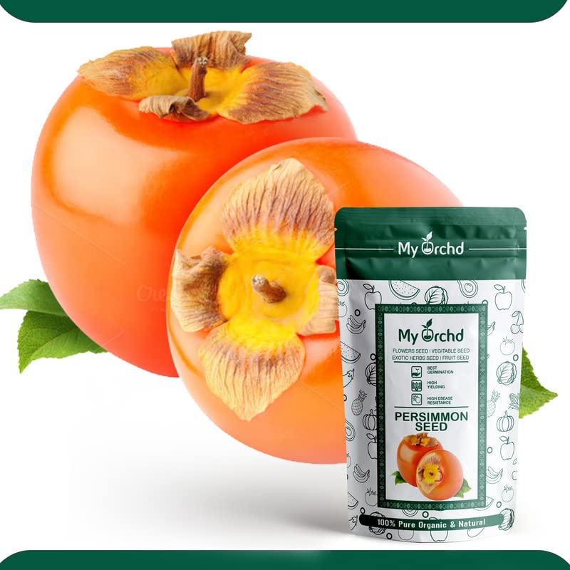 My orchd | Premium Persimmon Seeds | Sow and Grow Fresh Healthy Seed in Your Garden Perfect for Home & Terrace Gardening (B0C5744QDZ) Amazon Price History, Amazon Price Tracker