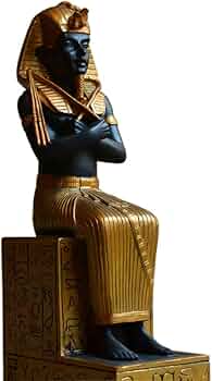 51WT3XEYauL._AC_UF350,