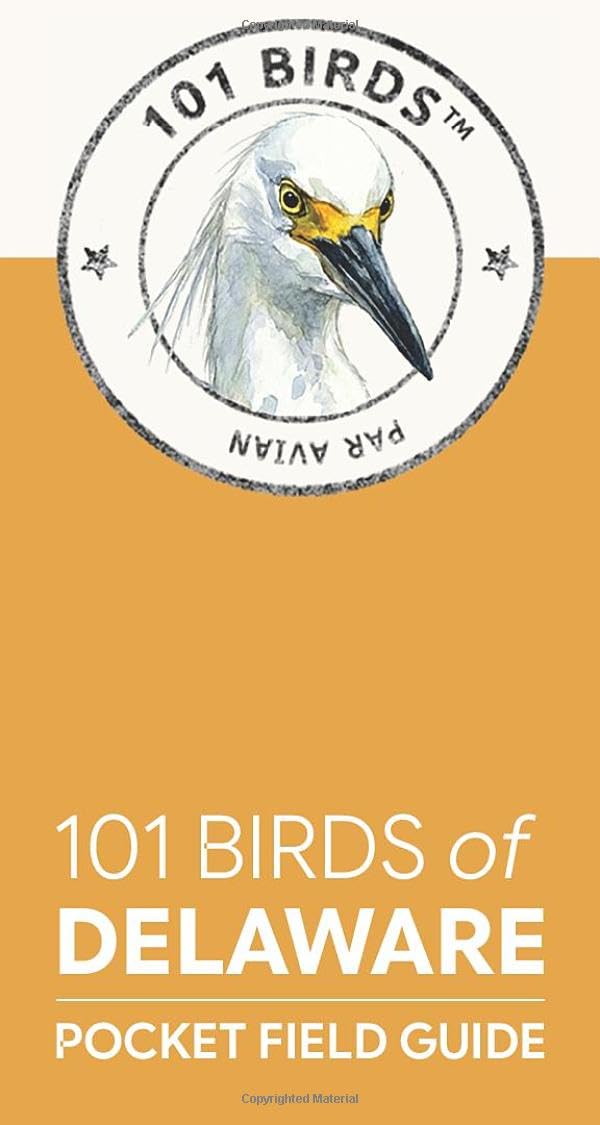 101 Birds of Delaware: Pocket Field Guide (101 Birds Pocket Field Guides)