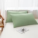 NTCOCO Summer Lightweight Comforter Set,Thin Quilt,100% Washed Cotton,Machine Washable,Soft Comfy Breathable Can Sleep Naked(Queen,Apple Green
