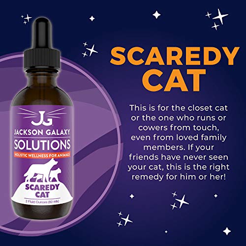 Jackson Galaxy: Scaredy Cat (2 oz.) - Pet Solution - Promotes Sense of Self-Confidence and Reassurance - Perfect for Cats Who Hide and Run from Touch - All-Natural Formula - Reiki Energy - Thumbnail 2
