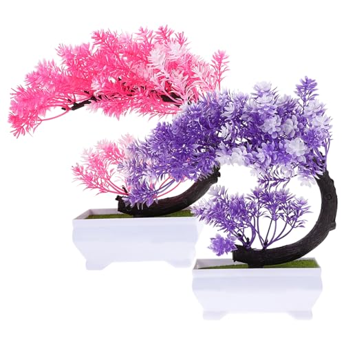 FIXOSHEE 2 tFCNO[~͓_ p^A lHϗtA bsv u z[fR[V