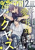 BOY’Sピアス 2020年12月号 (BOY’Sピアス デジタル)