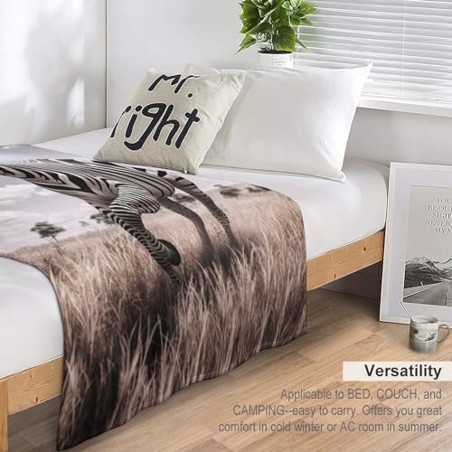Manta de forro polar de cebra 180x200 cm para sofá y salón 7