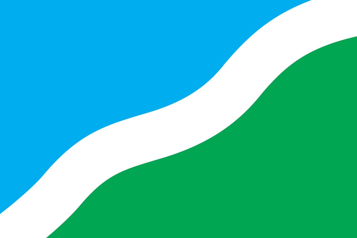 Drapeau Large Baryshivka Raion grand format pour mât extérieur