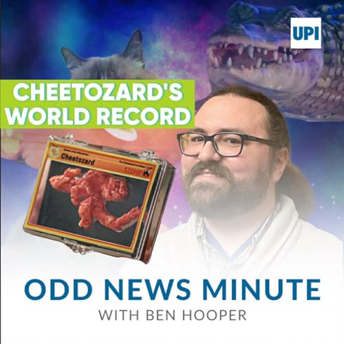 Cheetozard's world record, train station dog Podcast Por  arte de portada