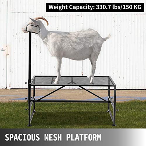 VEVOR Deluxe Adjustable Goat & Sheep Stand 51x23\" Premier Aluminum Livestock Milking and Shearing Stand, Durable Headpiece, Height Adjustable, Ideal for Horned Farm Animals, Black - Thumbnail 2