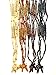 Dozen-12pcs Authentic Wooden Beads Rosaries from Nazareth Holy Land