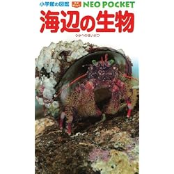 図鑑NEOポケット 8冊セット |本 | 通販 | Amazon