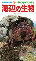 (Picture book NEO pocket of Shogakukan) organisms seaside (2011) ISBN: 4092172869 [Japanese Import] 4092172869 Book Cover