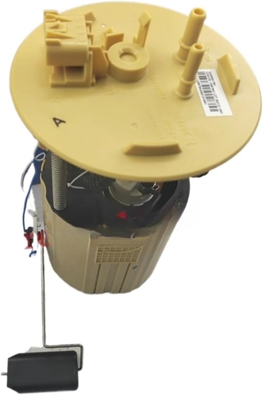 ヴィーヴィ・ケンパイネン パステル画 ふしぎなポートレート ヴィー