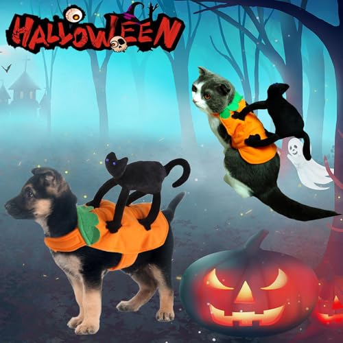 Black-Cat-Rider-Dog-Costume-Novelty-Dog-Halloween-Costumes-Pet-Riding-Costume-Dog-Clothes-for-Small-Medium-Dogs-Cats-Puppy-Cosplay-Funny-Knight-Style-Outfit-Party-Apparel