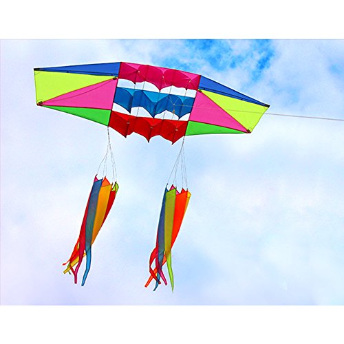Besra Huge 98inch Single Line 3D Radar Kite with Flying Tools 2.5m Power Box Kites with 2 Windsock Tails Outdoor Fun Sports for Adults (windsock)
