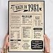 45 Geburtstag, Alte Zeitung Holzbild - Back in 1981 Vintage - personalisierbar zum Hinstellen/Aufhängen opt. beleuchtet, 45ter Geburtstag, 45 Geburtstag Frau & Mann, Jahr 1981 - persönliches Geschenk