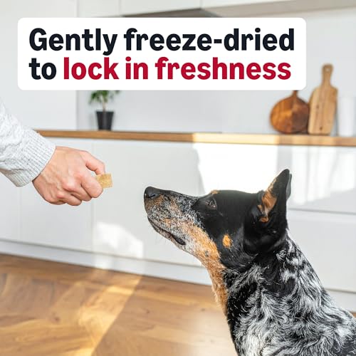 Image of Amazon Basics Freeze-Dried Raw Single Ingredient Dog Treats (Previously Wag), Beef Liver, High Protein, Grain-Free, 3.3 Ounce (Pack of 1), Packaging may vary