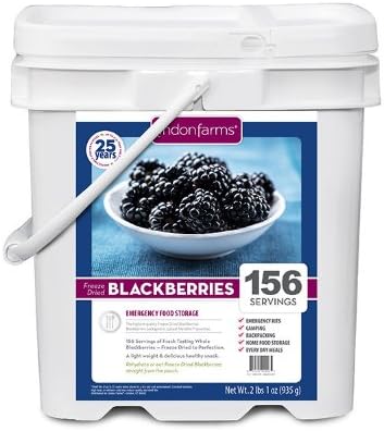 Lindon Farms Freeze Dried Blackberries (156 Servings)