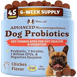 Natural Dog Company Probiotics for Dogs – Dog Probiotic Chews with 1B CFUs, Canine-Specific Microencapsulated Strains, Prebiotics & Enzymes for Digestive Health, Stool & Immune Support, 45 Ct