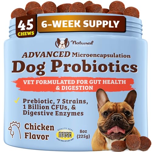 Natural Dog Company Probiotics for Dogs – Dog Probiotic Chews with 1B CFUs, Canine-Specific Microencapsulated Strains, Prebiotics & Enzymes for Digestive Health, Stool & Immune Support, 45 Ct