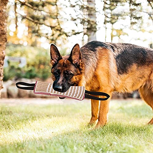 Zerrspielzeug Beißwurst für Hunde - Jute Beißwurst Hund Training mit 2 Griff, Kauspielzeug Robust und Unzerstörbar, Hunde Training Zubehör