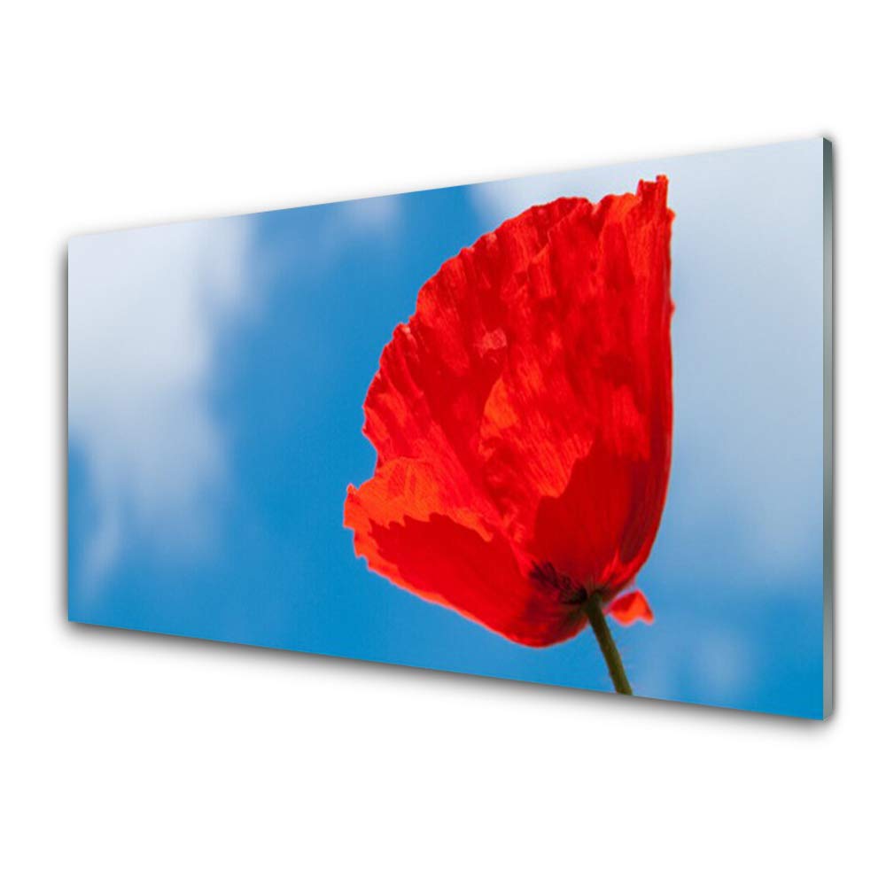 Impression sur Verre Trempé 100x50cm Tulup Tableau Mural Moderne Tulip Floral