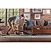 Dirt Devil Power Swerve Pet Cordless Stick Vacuum Cleaner, Lightweight, Bagless, Rechargeable, Ideal for Pet Hair, Carpet, Hard Floors and More, Cordless Vacuum Cleaners for Home Use