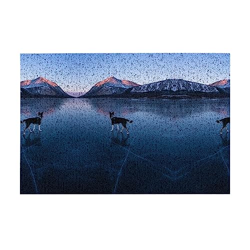 Husky Dog on a Frozen Lake PVC-Fußmatte, rutschfest, wasserabsorbierende Badematte,...