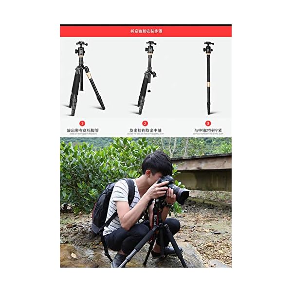 LLluckyHW Professionelle Fotostative und Einbeinstative, Universal Outdoor-Fotografie Halterungen, unterstützt mehrere… – Bild 4