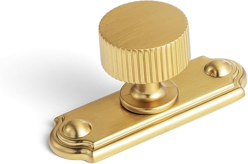 Goo-Ki Brushed Gold Zinc Alloy Cabinet Knob with Backplate - Single Hole Center 