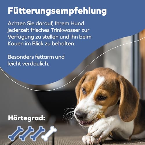 Tiernahrung Schwenner - Kurze Rinderkopfhaut für Hunde getrocknet – Dog Snacks – Hunde Zahnpflege – 1000g 8-18 cm 5
