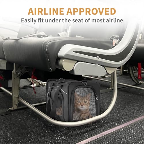 Petsfit Transporttasche Hunde und Katze, Hundetasche für Kleine Hunde Flugzeug, Katzentransportbox gut für Reisen im Auto Flugzeug oder in der Bahn