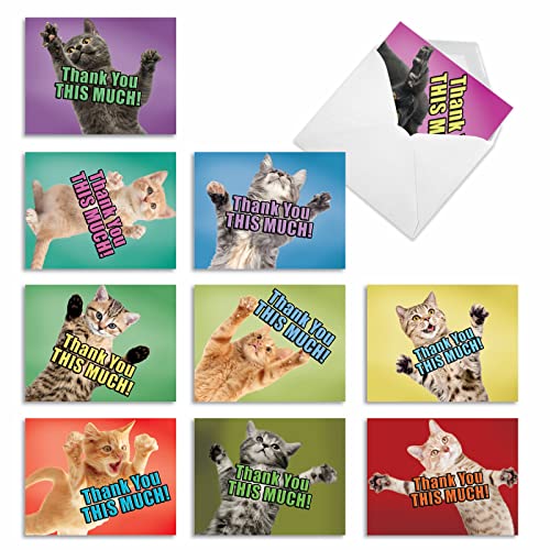 Carte de remerciement de Noël humoristique pour animer vos vœux en famille, lot Nobleworks