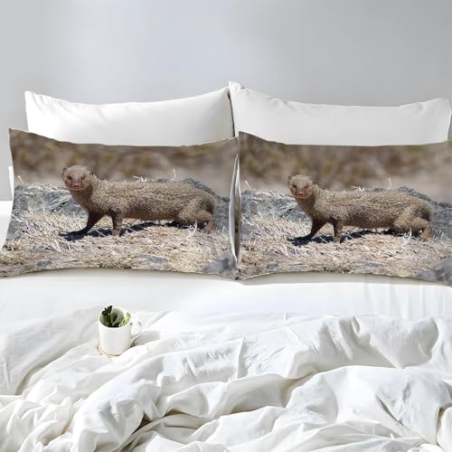 Parure de Lit 240x280 Suricate en Impression 3D Grise pour des Nuits Douces - 5