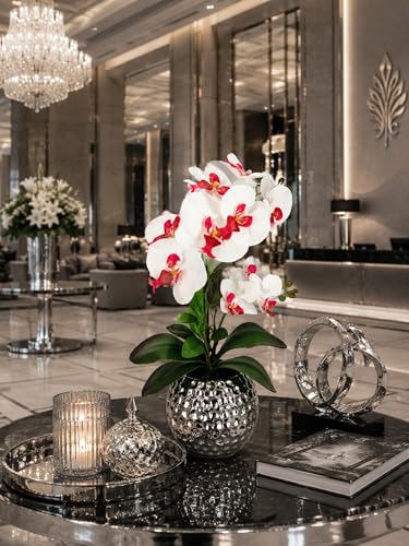 Phalaenopsis comme de véritables branches d'orchidées sans entretien - 6