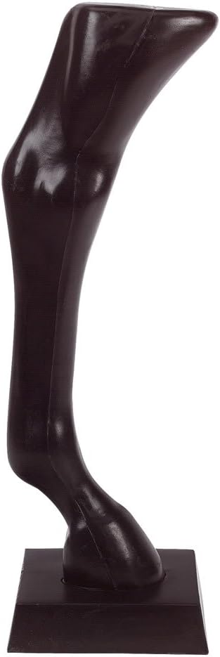 Générique Wall Display for Whips - - Black