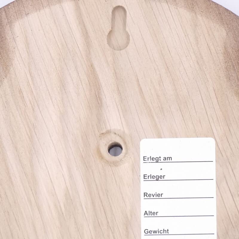 Generisch 5 Stück REH Trophäenschilder Spitz Eiche dunkel groß AF 21 cm x 13 cm