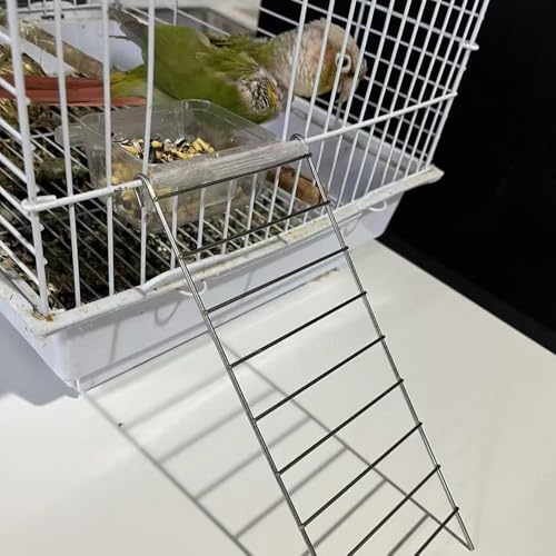 Image of Stainless Steel Bird Platform & Climbing Ladder Set (1 Platform + 1 Ladder) - Durable, Washable Cage Perch for Parakeets, Cockatiels, Conures (S)