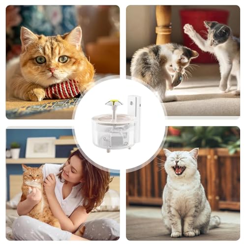 Fuentes De Agua De Gato Inalámbricas - Cats Fountain Acero Inoxidable | Dispensador De Aguas De Mascotas | Tazón De Bebidas | Alimentador De Agua Petts Babeer Caja Con Sensor De Movimiento Para Perros - imagen 5