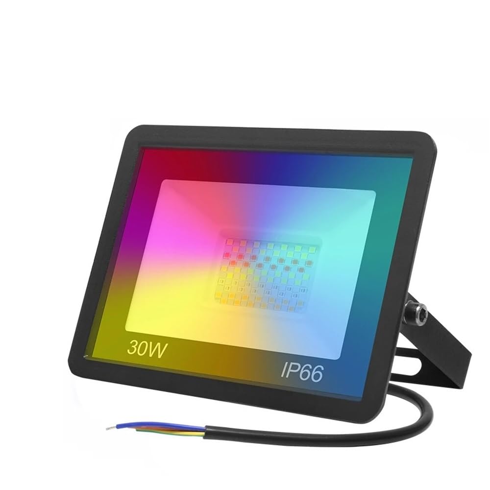 Proiettore LED WiFi 100W 50W 30W Proiettori RGB intelligenti Luci da giardino for esterni 220V RGBW RGBWW Faretto Funziona con Alexa(30W)