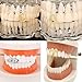 AISGRIL 4PCS Grillz Rap Accessory 18K Gold Plated Copper Hip-Hop Inlaid With Shiny Zircon Teeth Grillz Grills Personality Daily Wear And Halloween Suitable Unisex