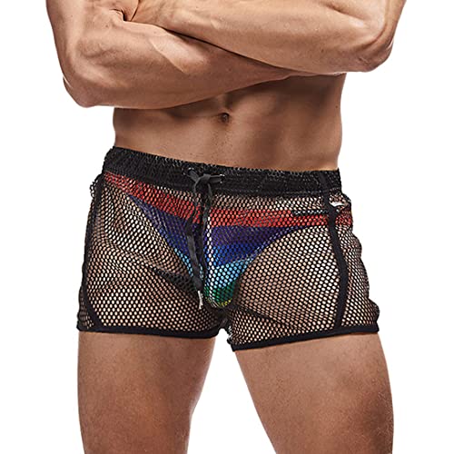 Mens Mesh Shorts Sexy Boxers See Through Boxers for Men