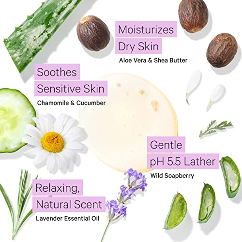 Tree To Tub Lavender Shea Butter Body Lotion For Dry Skin & Lavender Body Wash For Sensitive Skin And Dry Skin - Moisturizing Sensitive Skin Lotion & Ph Balanced Moisturizing Body Wash For Women & Men #TOP4