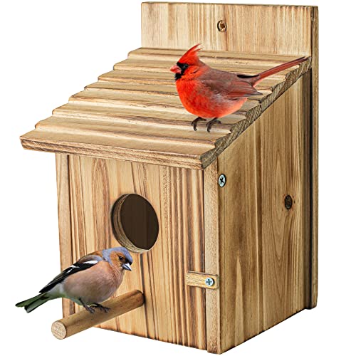 NATUREYLWL Wooden Bird House for Outside, Hanging Natural Wood Birdhouse with Perch, 1.57" Entrance & Side Clean-Out Door for Bluebirds, Wrens and Finches, Garden Decor by NATUREYLWL - Used condition - US$17.28
