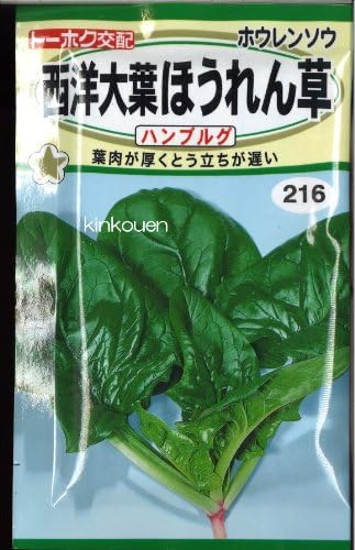 Amazon ﾎｳﾚﾝｿｳ西洋大葉ほうれん草ﾊﾝﾌﾞﾙｸﾞ Diy 工具 ガーデン