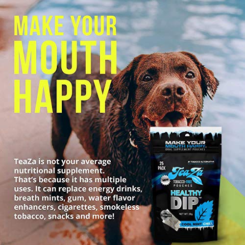 TeaZa Herbal Energy Pouch - Tobacco Alternative - Nicotine Free (Cool Mint Chill, 4 Bags)