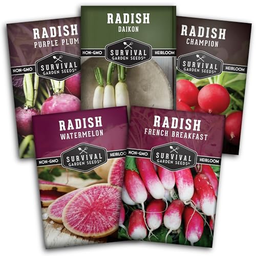 Radish Seeds Variety Pack 5 Packets | Heirloom Non-GMO Radishes for Planting: Daikon Watermelon Purple Plum French Breakfast & Champion Survival Garden Seeds