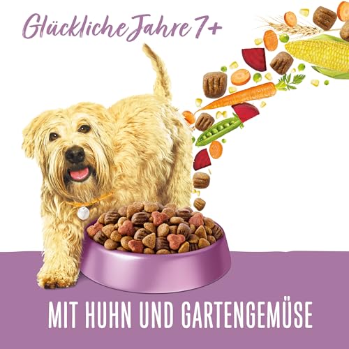 Beneful Glückliche Jahre 7+ Senior Hundefutter trocken, mit Huhn und Gartengemüse, 1er Pack (1 x 12kg)