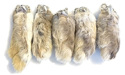 Dangerous Threads Rabbit Rabbits Foot Keychain White/Natural 5 Pcs