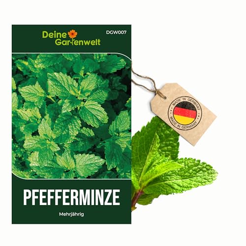 Pfefferminze Mehrjährig Samen - Mentha piperita - Pfefferminzesamen - Kräutersamen - Saatgut für 100 Pflanzen